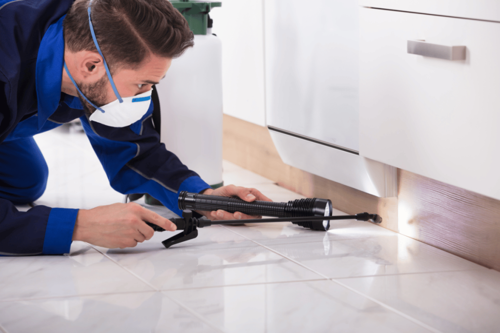 pest control expert doing pest check up