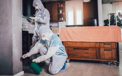 5 Reasons You Need Winter Pest Control